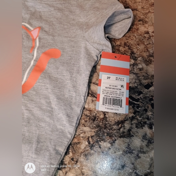 Cat & Jack Gray and Orange Short Sleeve Tee 3T Brand New With Tags - Picture 4 of 6
